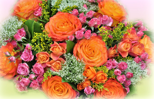855965 (a): :2500x1610